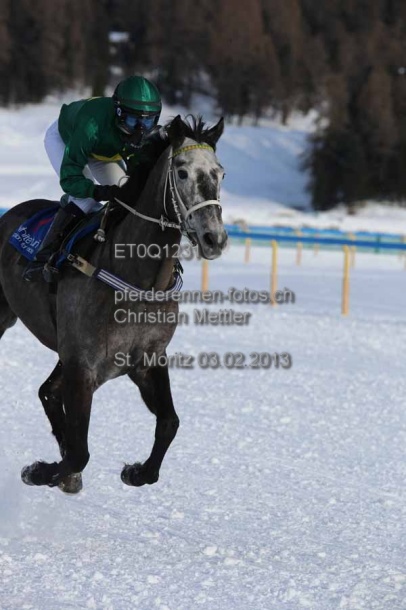 ET0Q1231 prot